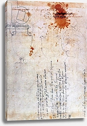 Постер Микеланджело (Michelangelo Buonarroti) Drawing of an Urn and Figure with Notes