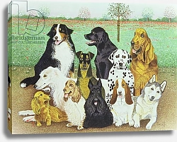 Постер Скотт Пэт (совр) Dog Watch
