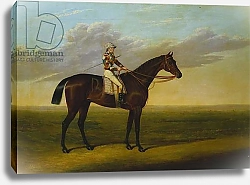 Постер Дэлби Давид Mr Richard Watt's Bay Racehorse 'Rockingham' with Sam Darling up, on a Racecourse