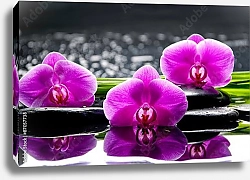 Постер Натюрморт с тремя цветками орхидеи