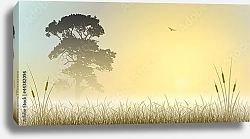 Постер Туманный восход солнца над тростниками