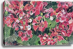 Постер Годлевска де Аранда (совр) Rhododendron, 1962