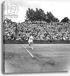 Постер The English tennisman Davies