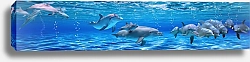 Постер Подводная панорама с дельфинами