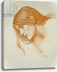 Постер Уотерхаус Джон Study of a Girl's Head