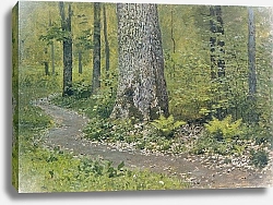 Постер Левитан Исаак Тропинка в лиственном лесу Папоротники