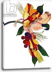 Постер Хируёки Исутзу (совр) Tulip parrot1