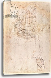 Постер Микеланджело (Michelangelo Buonarroti) Study for the Ignudi above the Persian Sibyl in the Sistine Chapel, 1508-12