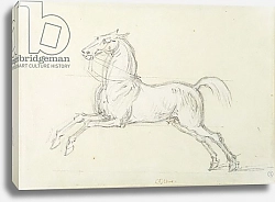 Постер Сеймур Джеймс 'Flying Childers' galloping to left: bridled but not saddled