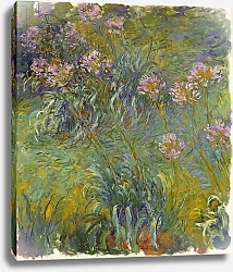 Постер Моне Клод (Claude Monet) Agapanthus, 1914-26