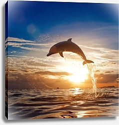 Постер Прыжок дельфина на фоне сияющего заката