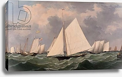 Постер Лэйн Фитц New York Yacht Club Regatta, 1856
