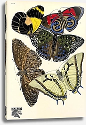 Постер Papillons by E. A. Seguy №4