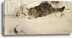 Постер Лильефорс Бруно A Cat Stalking a Mouse in the Snow, 1892