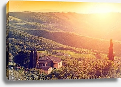 Постер Италия, Тоскана. Виноградная ферма
