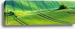 Постер Чехия. Зеленая панорама Моравии