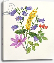 Постер Ходжсон Урсула (совр) Harebells and other wild flowers