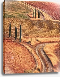 Постер Дорога в полях, Сиена, Италия