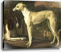Постер Виникс Ян Portrait of a Greyhound and Spaniel