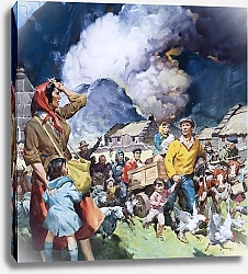 Постер МакКоннел Джеймс Families leaving natural disaster