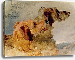 Постер Херринг Джон Two Deerhounds, 1851