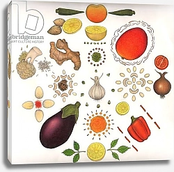 Постер Андерсон Уэйн Fruit and Vegetables