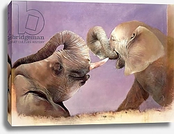 Постер Кидд Одиль (совр) Elephants at Play, 2001
