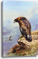 Постер A golden eagle 2