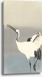 Постер Косон Охара Two cranes