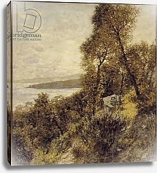Постер Танге Ла Генри Ligurian Hillside, 1906-1910