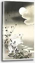Постер Кролик в полнолуние (1900 - 1930)