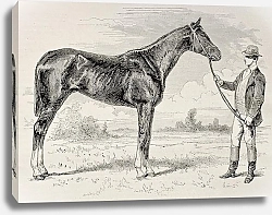 Постер The Earl, winner of the Grad Prix de Paris in 1868. Created by Janet-Lange and Cosson-Smeeton, publi