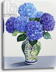 Постер Рэйленд Кристофер (совр) Blue Hydrangeas