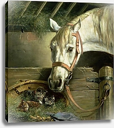 Постер Мюллер Моритц Horse and kittens, 1890