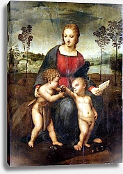 Постер Рафаэль (Raphael Santi) Мадонна со щеглом. Мария с младенцем и Иоанном Крестителем