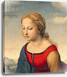 Постер Рафаэль (Raphael Santi) La Belle Jardiniere, 1507