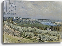 Постер Сислей Альфред (Alfred Sisley) The Terrace at Saint-Germain, Spring, 1875 1