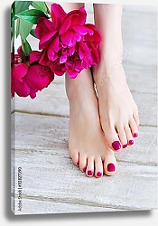 Постер Ноги с розовым педикюром и пионами
