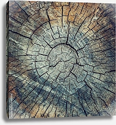 Постер Старая древесина