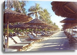 Постер Солнечное утро на курорте. Пустые шезлонги и бамбуковые зонтики на пляже