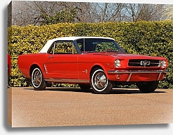 Постер Mustang Convertible '1964