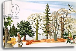 Постер Ригналл Джон (дет) Trees in Winter