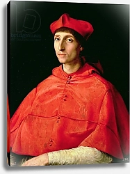 Постер Рафаэль (Raphael Santi) Portrait of a Cardinal 2