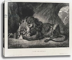 Постер Делакруа Эжен (Eugene Delacroix) Lion de l'Atlas, 1829