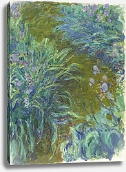 Постер Моне Клод (Claude Monet) Ирисы 2
