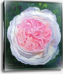 Постер Айреленд Вильям (совр) Victorian Rose 1
