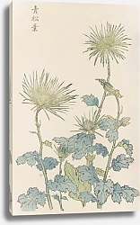 Постер Хасегава Кейка Keika hyakugiku, Pl.18