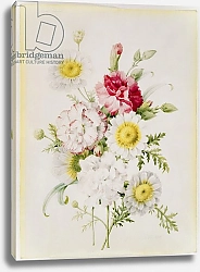 Постер Редюти Пьер Bunch of Mixed Carnations and White Marigolds, 1839