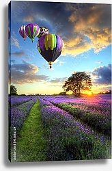 Постер Воздушные шары над лавандовым полем