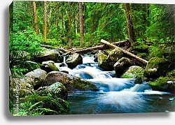 Постер Река в лесу